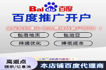 SEM托管服务实战案例：打造高效广告投放策略